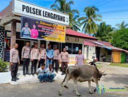 Gegara Mobil Mogok, Nasib Dua Pencuri Sapi Ditangkap