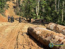 Satuan Penertiban Hutan Pusat Bergerak Cepat ada Produksi Ilegal Loging Kepulauan Mentawai, Dipimpin oleh Mayjen Dody Triwinarto