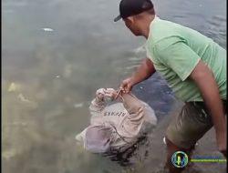 Masyarakat Maninjau Gempar, Ditemukan Mayat Perempuan di Tepian Danau Maninjau 