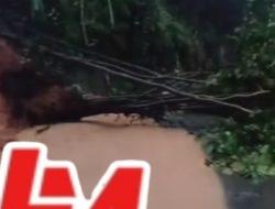 Jalur Padang–Solok Terganggu Akibat Longsor dan Pohon Tumbang di Panorama Satu 