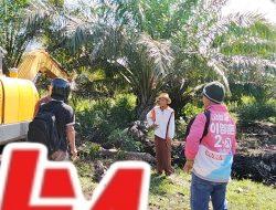 Diminta Kapolda Sumatera Barat mengusut tuntas Kasus jual’ beli kawasan hutan HPK (Hutan Produksi Konversi) di BAB Tapan.