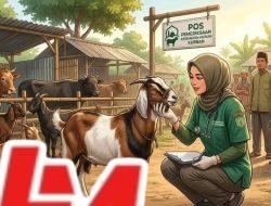 Pemko Padang Sosialisasikan Pemilihan Hewan Ternak Sehat dan Layak Kurban