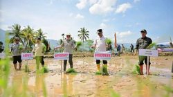 Kemendagri Apresiasi Progres Rehabilitasi Lahan Terdampak Bencana di Sumbar