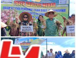 Pemkab Lahat Menggelar Panen Perdana Bawang Merah Varietas Brebes Yang Ditanam Di Lahan Binaan Desa Tunggul Bute Kecamatan Kota Agung 