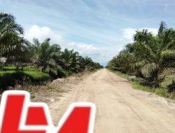 Novermal Soroti Harga TBS di Pessel, Nilai Pemda Belum Maksimal Awasi Harga Sawit